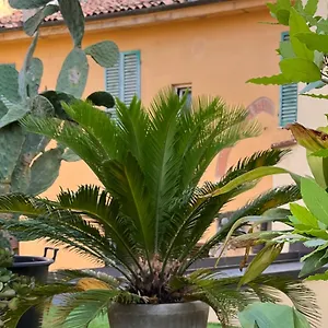  Apartamento The Jasmine Terrace Retreat Italia